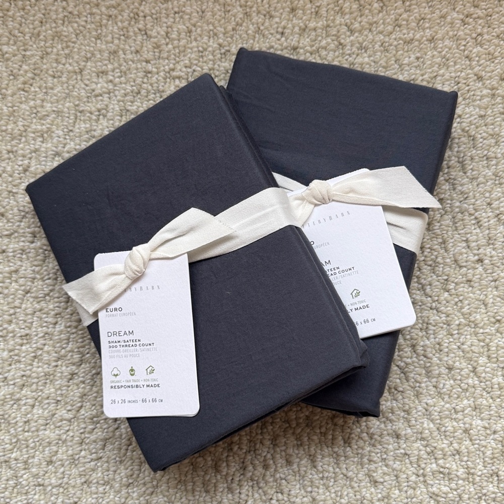 Set of 2 Pottery Barn Euro Dream Sham Steel Blue Organic Cotton Sateen 26 x 26